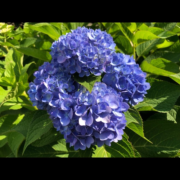 Meet the Posher Other - Meet your Posher, Courtney